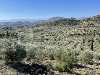 Αγροτεμάχια 4.126 τ.μ. για πώληση, Αργολίδα, Ναύπλιο-thumb-17