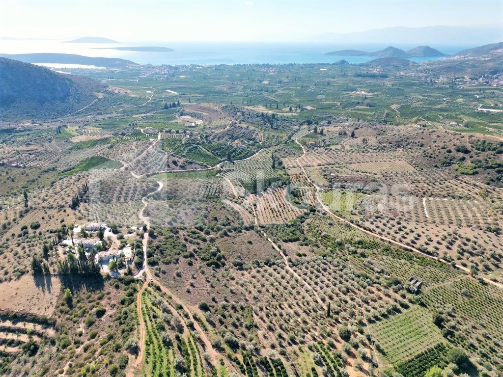 Αγροτεμάχια 4.126 τ.μ. προς πώληση, Λευκάκια