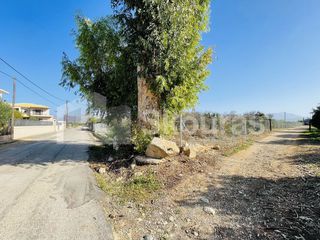 Οικόπεδο 3.947 τ.μ. για πώληση, Αργολίδα, Άργος-thumb-19
