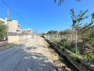 Οικόπεδο 3.947 τ.μ. για πώληση, Αργολίδα, Άργος-thumb-21