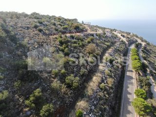 Αγροτεμάχια 2.050 τ.μ. προς πώληση, Λιμένι-thumb-16