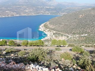 Αγροτεμάχια 2.050 τ.μ. προς πώληση, Λιμένι-thumb-11