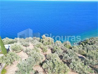 Αγροτεμάχια 6.500 τ.μ. για πώληση, Αρκαδία, Απόλλωνας-thumb-2