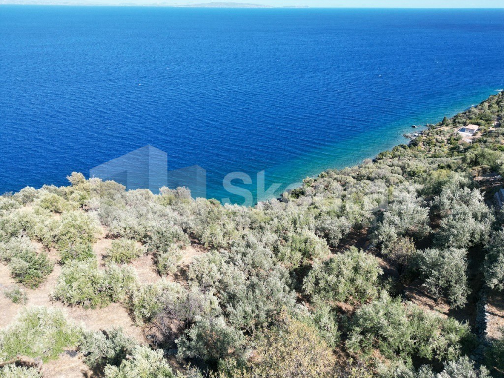 Αγροτεμάχια 6.500 τ.μ. προς πώληση, Τυρός