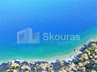 Αγροτεμάχια 6.500 τ.μ. για πώληση, Αρκαδία, Απόλλωνας-thumb-6