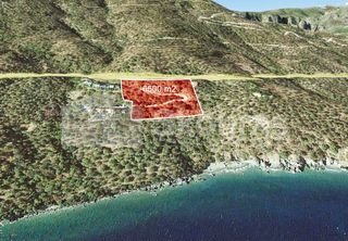 Αγροτεμάχια 6.500 τ.μ. για πώληση