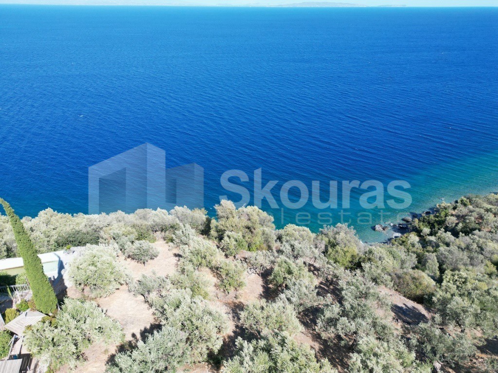 Αγροτεμάχια 6.500 τ.μ. προς πώληση, Τυρός