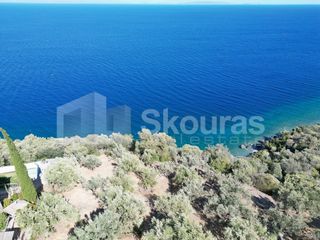 Αγροτεμάχια 6.500 τ.μ. για πώληση, Αρκαδία, Απόλλωνας-thumb-3
