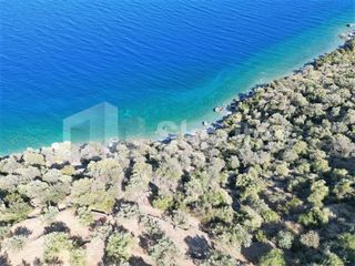 Αγροτεμάχια 6.500 τ.μ. για πώληση, Αρκαδία, Απόλλωνας-thumb-9