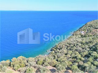 Αγροτεμάχια 5.050 τ.μ. για πώληση, Αρκαδία, Απόλλωνας-thumb-3