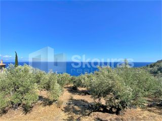 Αγροτεμάχια 5.050 τ.μ. για πώληση, Αρκαδία, Απόλλωνας-thumb-17