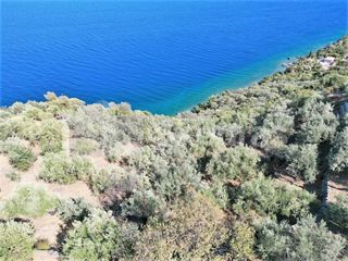 Αγροτεμάχια 5.050 τ.μ. για πώληση, Αρκαδία, Απόλλωνας-thumb-4