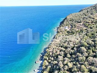 Αγροτεμάχια 5.050 τ.μ. για πώληση, Αρκαδία, Απόλλωνας-thumb-9