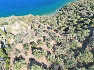 Αγροτεμάχια 5.050 τ.μ. για πώληση, Αρκαδία, Απόλλωνας-thumb-14