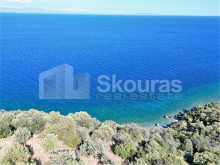 Αγροτεμάχια 5.050 τ.μ. για πώληση, Αρκαδία, Απόλλωνας-thumb-13