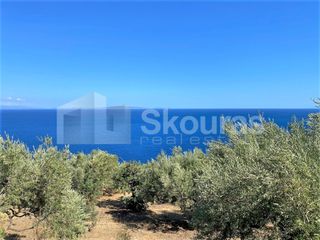 Αγροτεμάχια 5.050 τ.μ. για πώληση, Αρκαδία, Απόλλωνας-thumb-18
