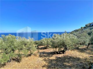Αγροτεμάχια 5.050 τ.μ. για πώληση, Αρκαδία, Απόλλωνας-thumb-15