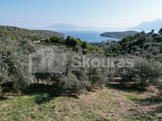 Αγροτεμάχια 4.367 τ.μ. πρός πώληση, Αργολίδα, Επίδαυρος-thumb-21