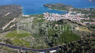 Αγροτεμάχια 4.367 τ.μ. για πώληση