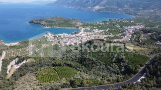 Αγροτεμάχια 4.367 τ.μ. πρός πώληση, Αργολίδα, Επίδαυρος-thumb-6