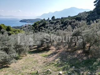 Αγροτεμάχια 4.367 τ.μ. πρός πώληση, Αργολίδα, Επίδαυρος-thumb-7