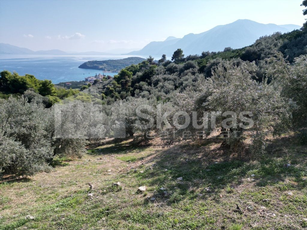 Αγροτεμάχια 4.367 τ.μ. πρός πώληση, Αργολίδα, Επίδαυρος