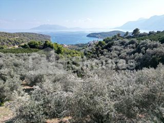 Αγροτεμάχια 4.367 τ.μ. πρός πώληση, Αργολίδα, Επίδαυρος-thumb-2
