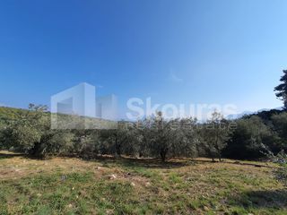 Αγροτεμάχια 4.367 τ.μ. πρός πώληση, Αργολίδα, Επίδαυρος-thumb-12