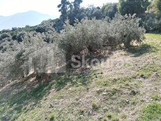 Αγροτεμάχια 4.367 τ.μ. πρός πώληση, Αργολίδα, Επίδαυρος-thumb-4