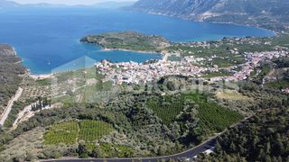 Αγροτεμάχια 4.367 τ.μ. πρός πώληση, Αργολίδα, Επίδαυρος-thumb-13