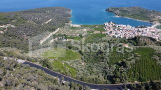 Αγροτεμάχια 4.367 τ.μ. πρός πώληση, Αργολίδα, Επίδαυρος-thumb-17