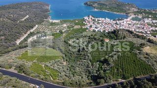 Αγροτεμάχια 4.367 τ.μ. πρός πώληση, Αργολίδα, Επίδαυρος-thumb-16