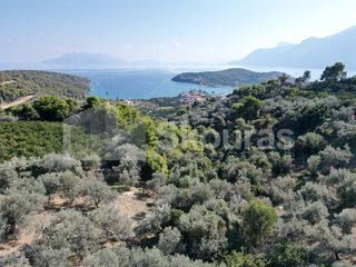 Αγροτεμάχια 4.367 τ.μ. πρός πώληση, Αργολίδα, Επίδαυρος-thumb-22