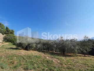 Αγροτεμάχια 4.367 τ.μ. πρός πώληση, Αργολίδα, Επίδαυρος-thumb-5