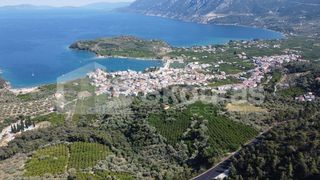 Αγροτεμάχια 4.367 τ.μ. πρός πώληση, Αργολίδα, Επίδαυρος-thumb-18