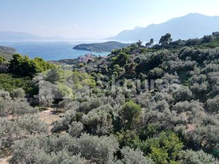Αγροτεμάχια 4.367 τ.μ. πρός πώληση, Αργολίδα, Επίδαυρος-thumb-14