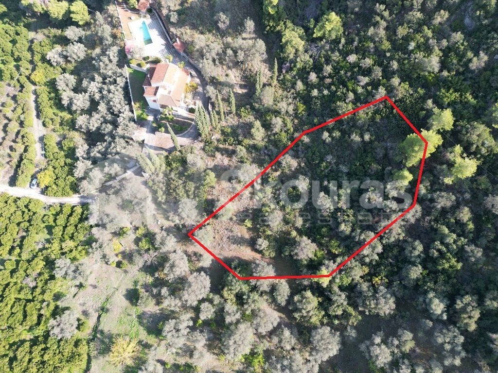 Αγροτεμάχια 4.240 τ.μ. προς πώληση, Νέα Επίδαυρος