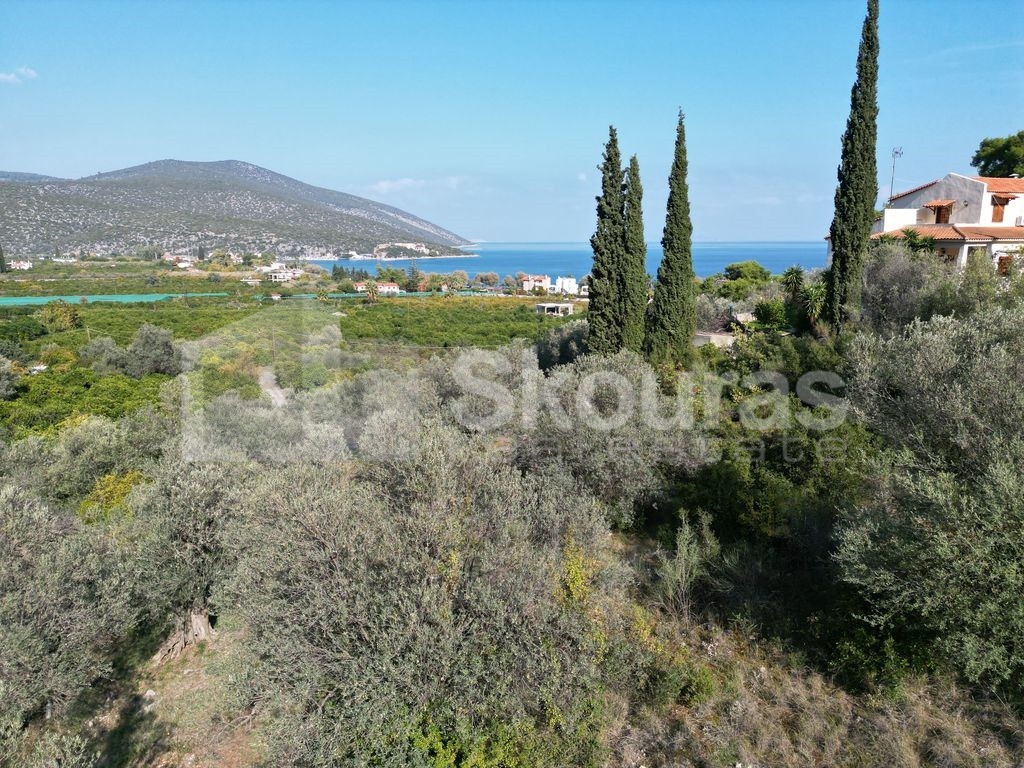 Αγροτεμάχια 4.240 τ.μ. προς πώληση, Νέα Επίδαυρος