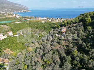 Αγροτεμάχια 4.240 τ.μ. για πώληση