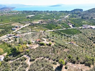 Αγροτεμάχια 7.103 τ.μ. για πώληση, Αργολίδα, Ασίνη-thumb-6