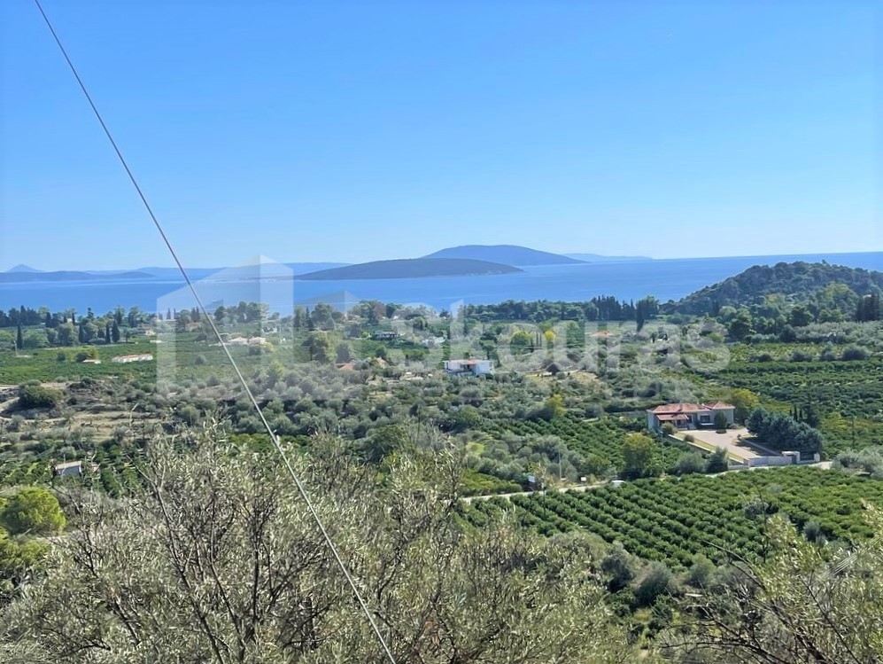 Αγροτεμάχια 7.103 τ.μ. προς πώληση, Κέντρο Ασίνης