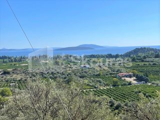 Αγροτεμάχια 7.103 τ.μ. για πώληση, Αργολίδα, Ασίνη-thumb-2