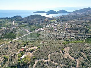 Αγροτεμάχια 7.103 τ.μ. για πώληση, Αργολίδα, Ασίνη-thumb-22