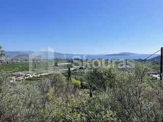 Αγροτεμάχια 7.103 τ.μ. για πώληση, Αργολίδα, Ασίνη-thumb-20