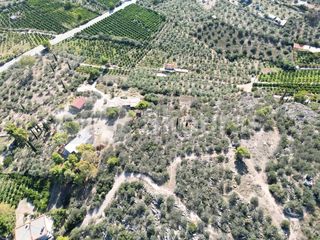 Αγροτεμάχια 7.103 τ.μ. για πώληση, Αργολίδα, Ασίνη-thumb-21