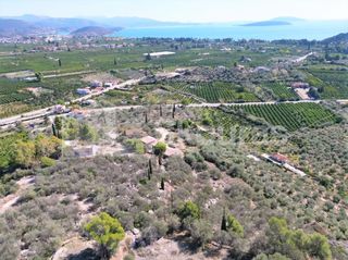 Αγροτεμάχια 7.103 τ.μ. για πώληση, Αργολίδα, Ασίνη-thumb-7