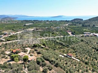 Αγροτεμάχια 7.103 τ.μ. για πώληση, Αργολίδα, Ασίνη-thumb-8