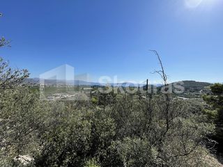 Αγροτεμάχια 7.103 τ.μ. για πώληση, Αργολίδα, Ασίνη-thumb-19