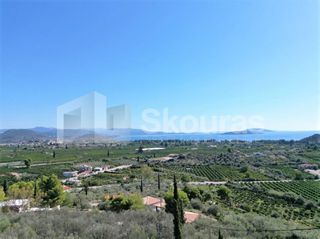Αγροτεμάχια 7.103 τ.μ. για πώληση, Αργολίδα, Ασίνη-thumb-1