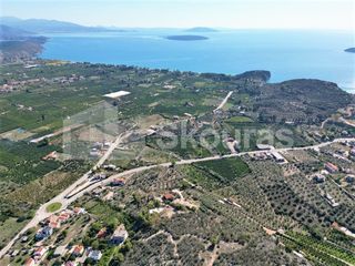 Αγροτεμάχια 7.103 τ.μ. για πώληση, Αργολίδα, Ασίνη-thumb-3